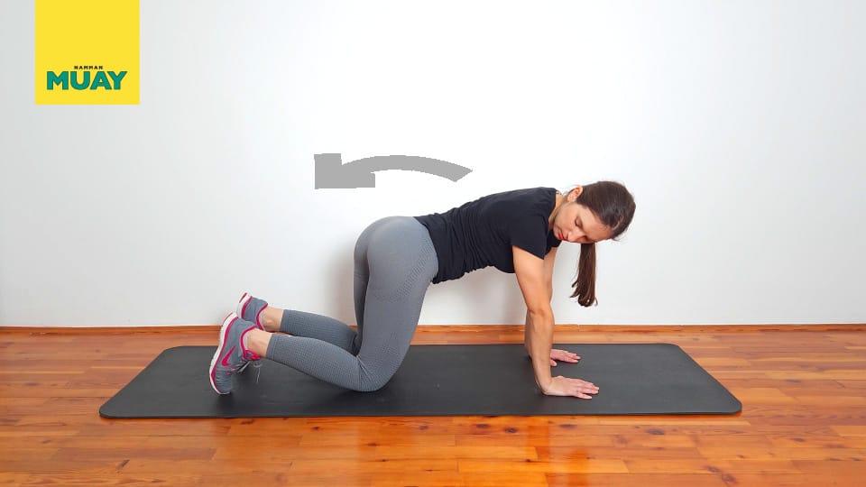 Quadruped lateral pelvic tilts Step 2