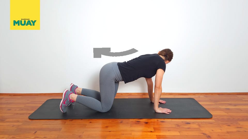 Quadruped lateral pelvic tilts Step 3